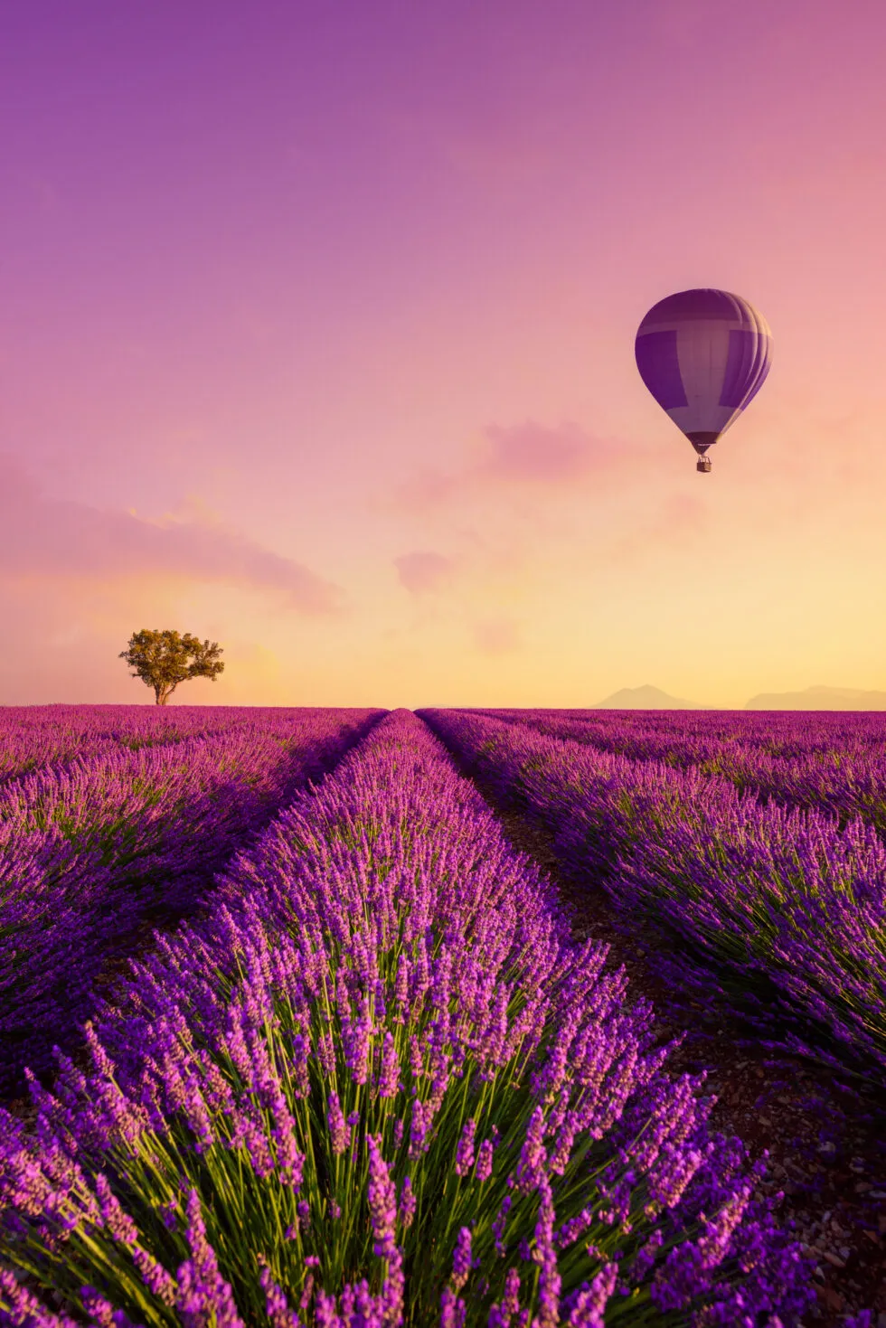 assurance vie — FR news