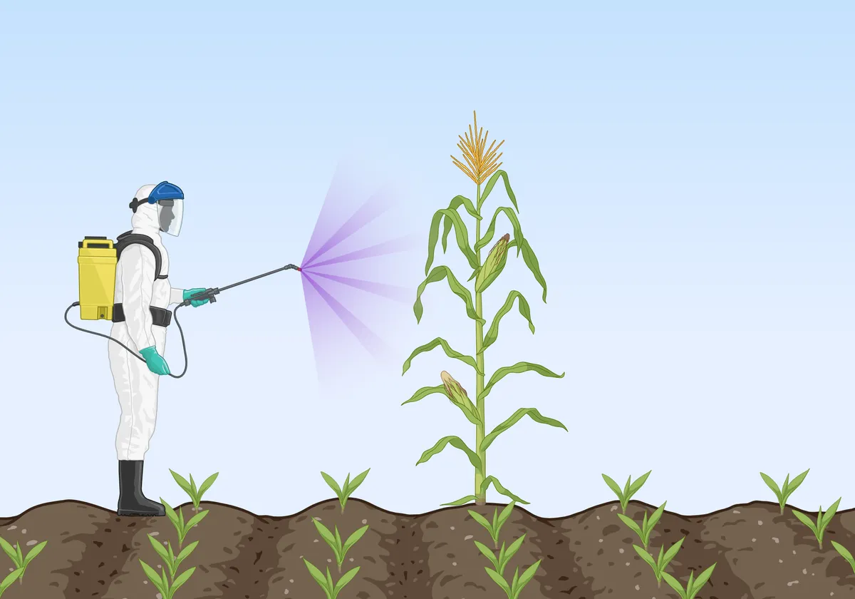 pesticide — FR news