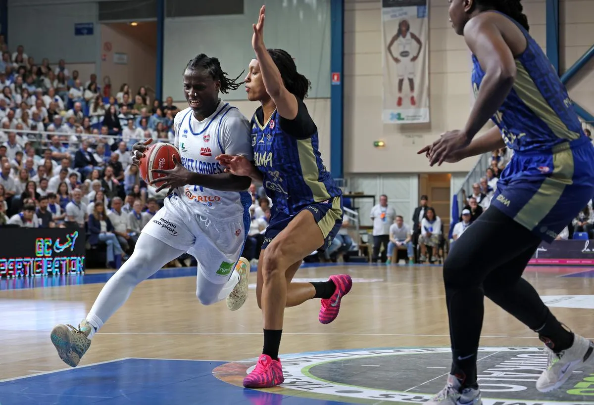 basket landes — FR news