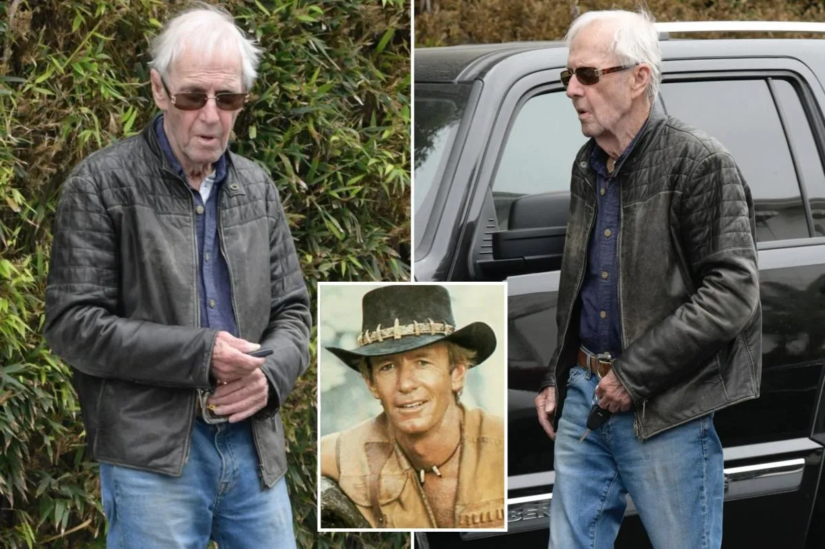 paul hogan — FR news