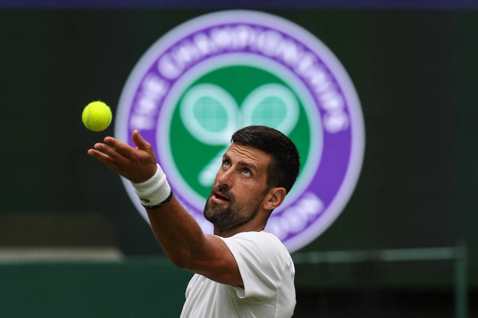 Wimbledon : comment suivre l’édition 2026 ?