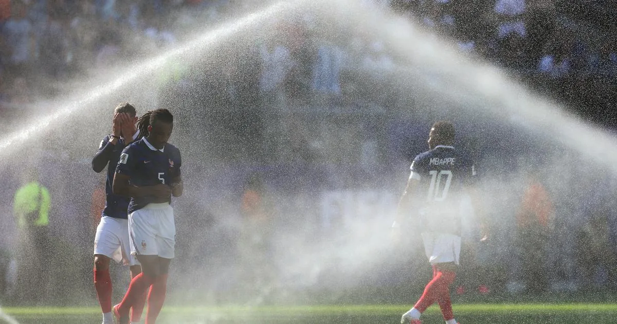 « La boucherie, c’est de l’art »… Les Bleus face aux découpeurs paraguayens - 20 Minutes